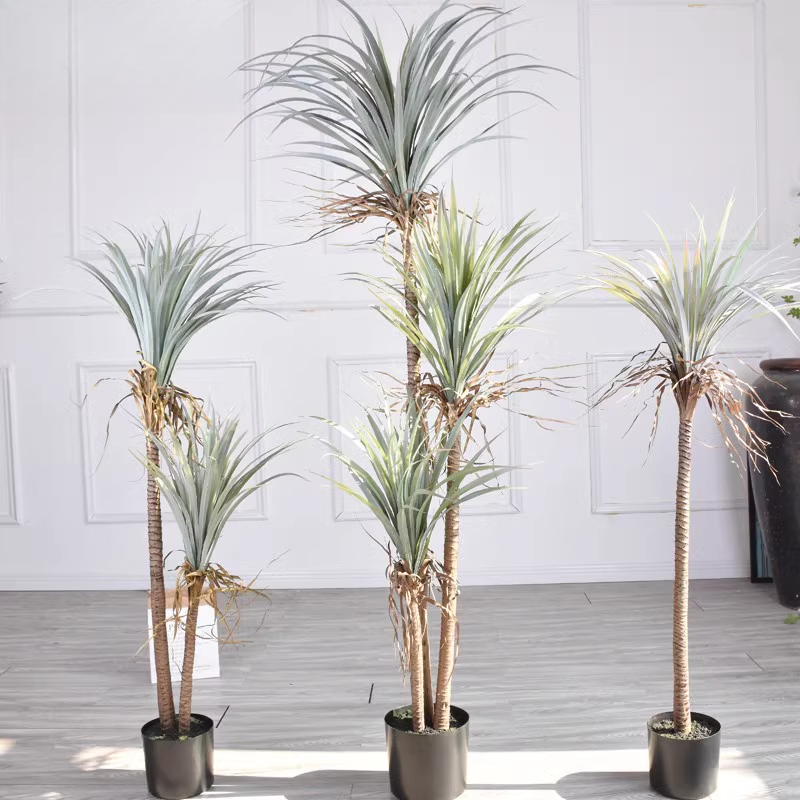 Dragon Blood Yucca Artificial  - đánh giá và giá Dracaena Marginata