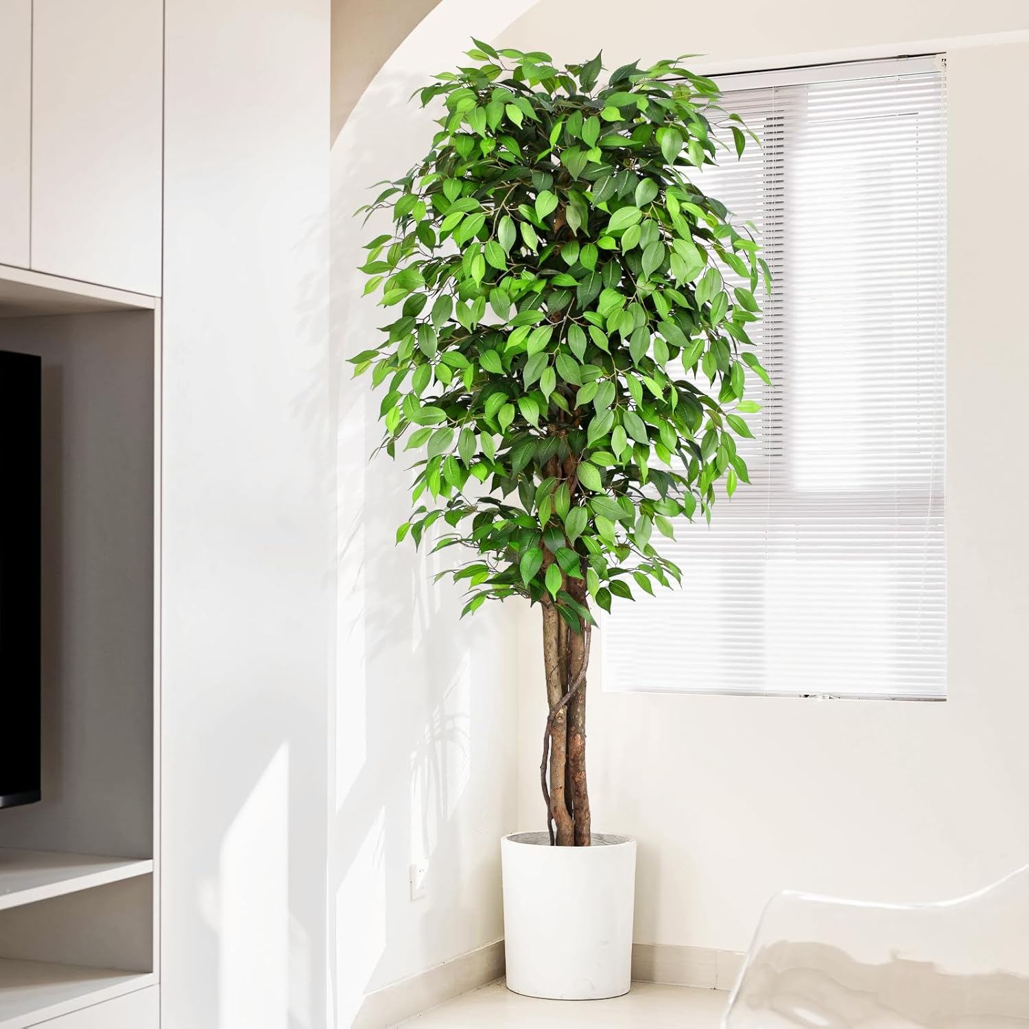 Lifelike Artificial Ficus Tree - đánh giá và giá Monstera Adansonii