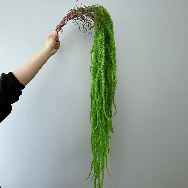 Artificial Willow Beard Versat - đánh giá và giá Monstera Adansonii