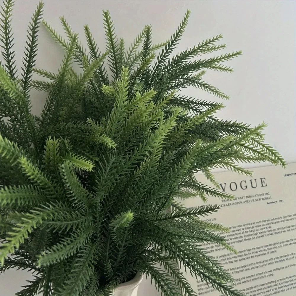 Christmas Norfolk Branches Rea - đánh giá và giá Dracaena Marginata