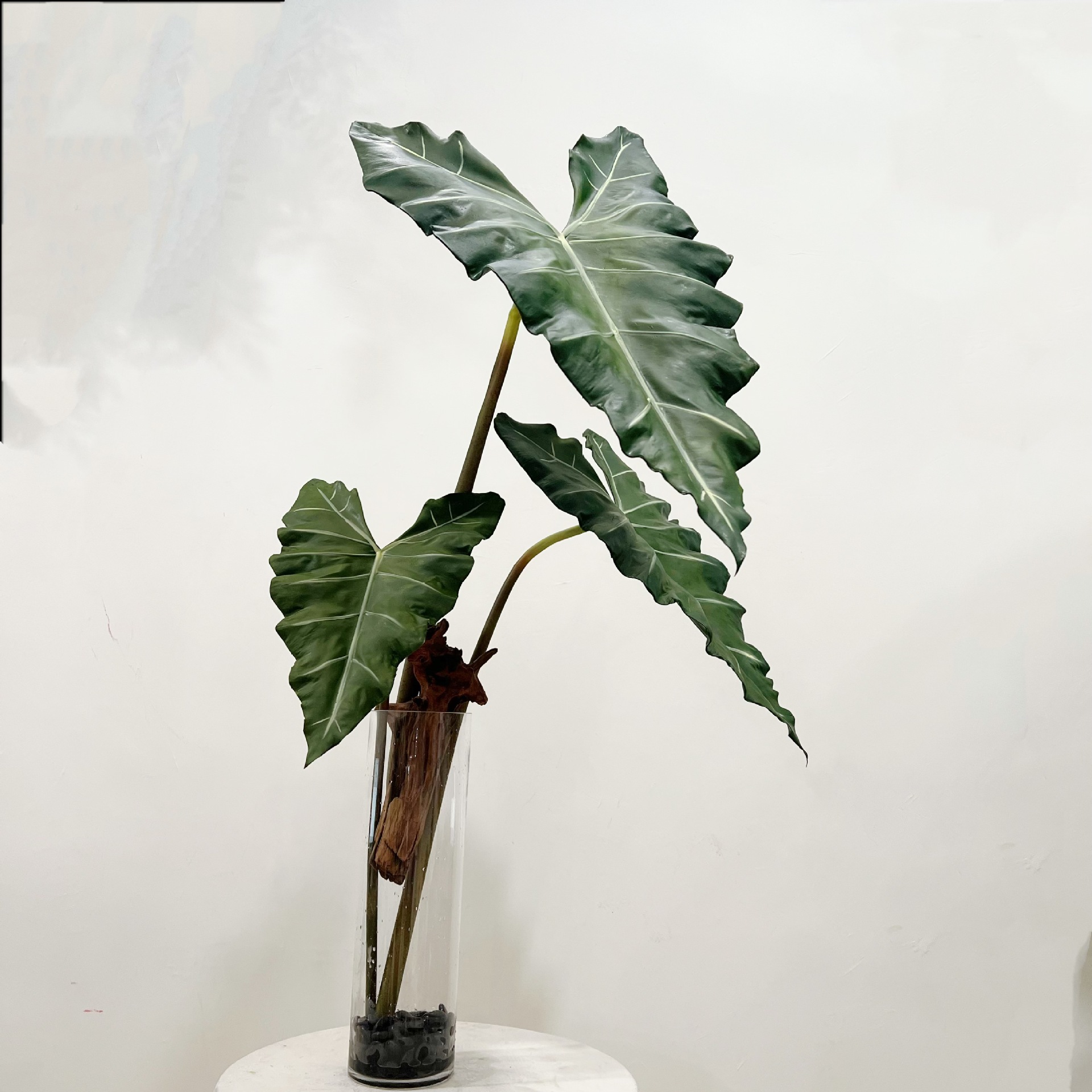 Simulated Long PU Hand-feel Gr - đánh giá và giá Monstera Adansonii